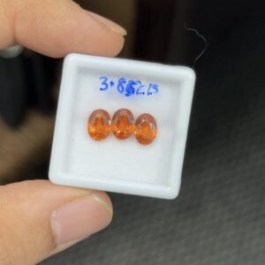 Rishab International